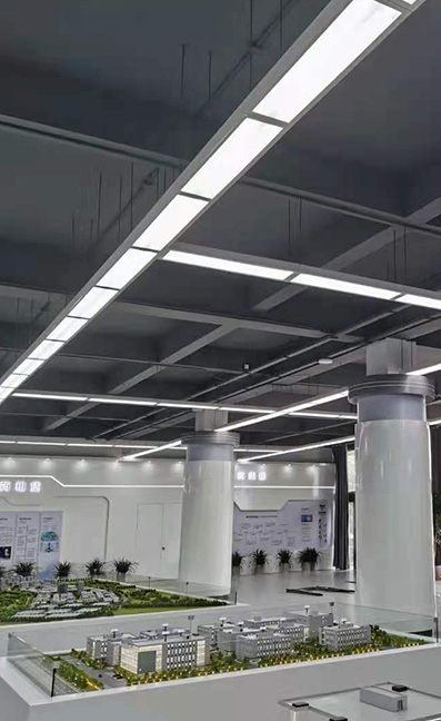 國(guó)藥項(xiàng)目